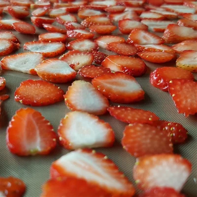 Puuvilja kuivatamine õhukuivatiga